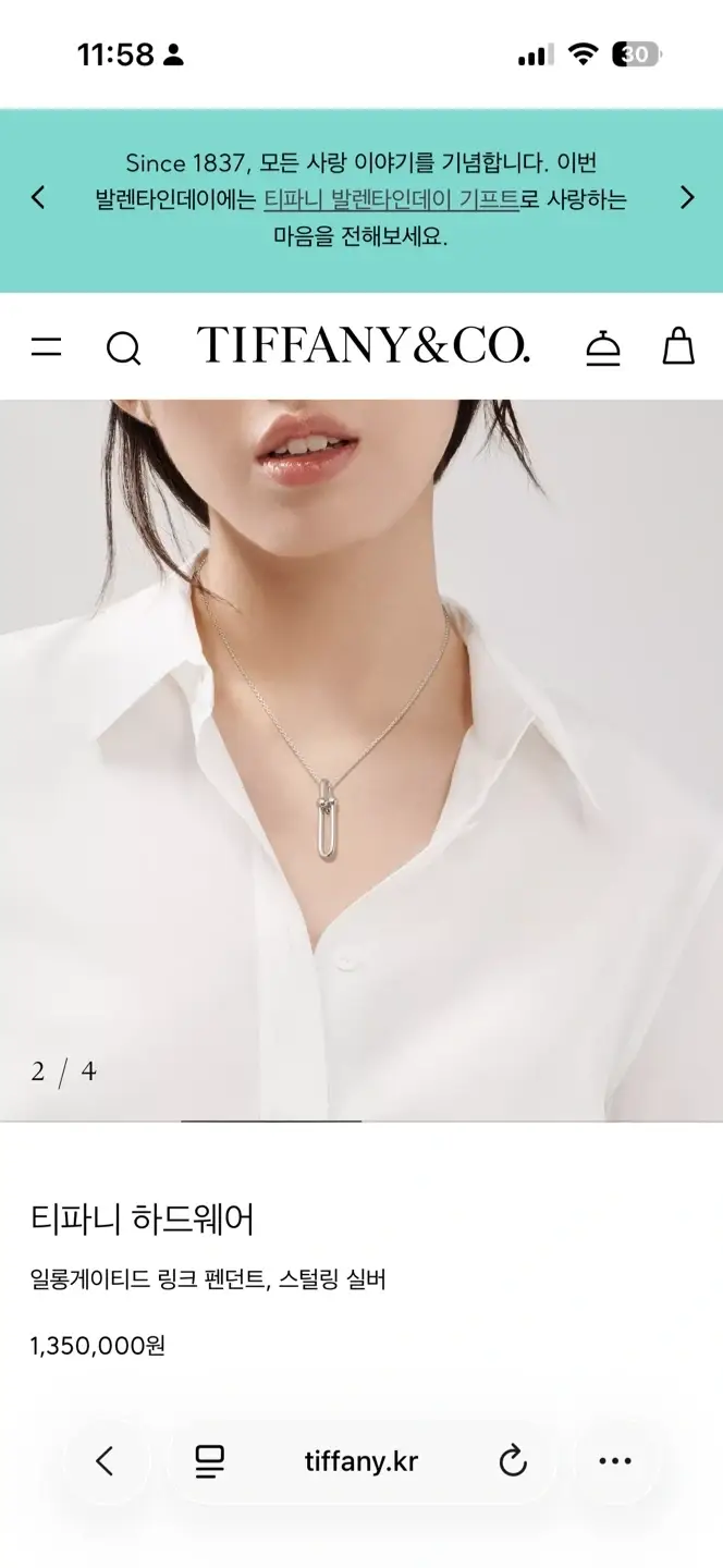 Authentic Tiffany Hardware Elongated Link Pendant Necklace
