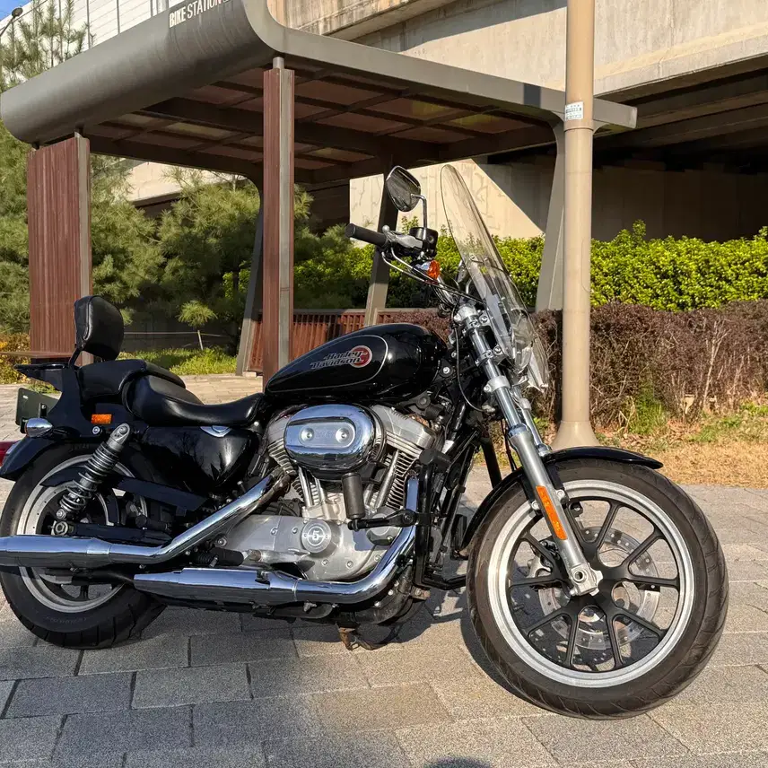Dasan Moto Gallery Harley-Davidson 883 Super Low 2019 Single Owner Sale