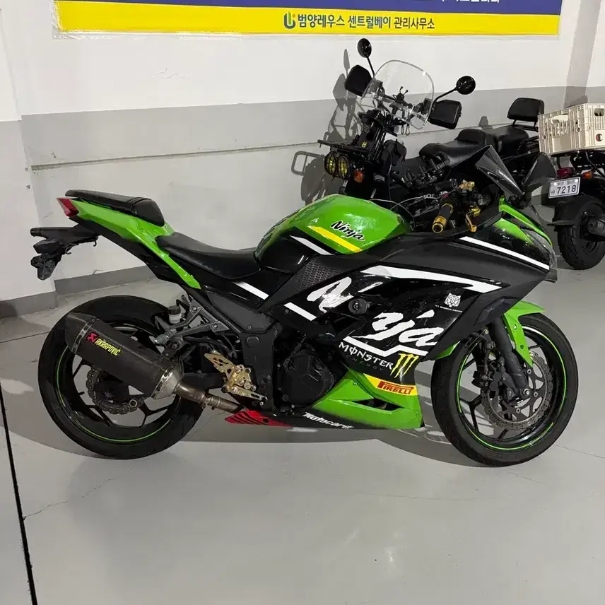Kawasaki Ninja 300