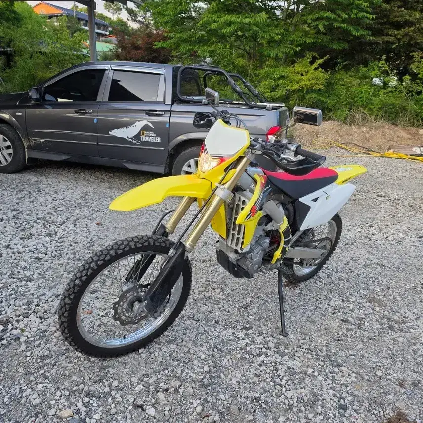 Suzuki RMX450