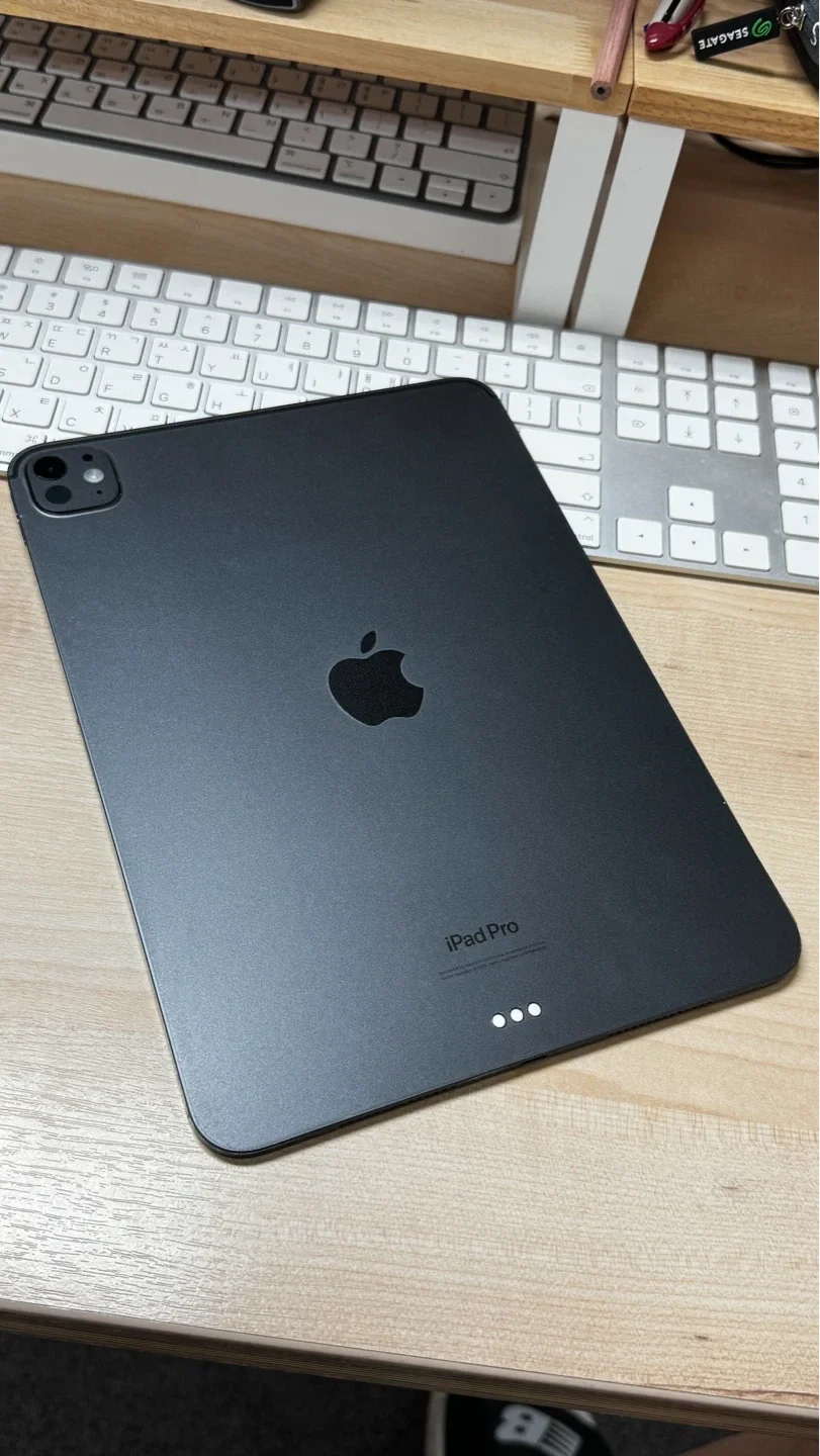 Apple iPad Pro 11型M4 256GBシルバー最崔最SSSS級取ってください