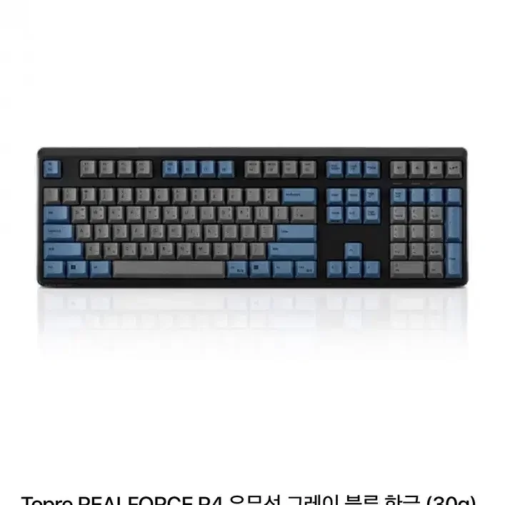 리얼포스 R4 그레이 블루 30g 풀사이즈 미개봉 새상품